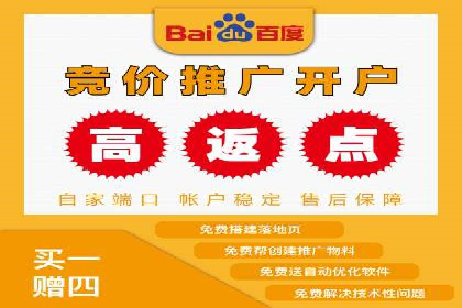 SEM竞价代运营成功案例解析